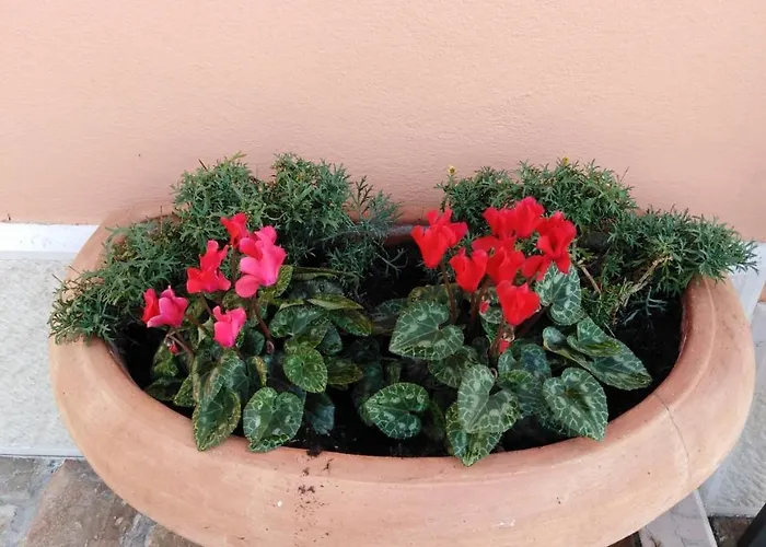 Casa Del Capitello Caprino Veronese