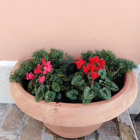 Casa Del Capitello Caprino Veronese